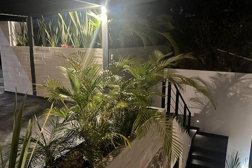 Residencia Corinto La Cima Frac Burgos Bugambilias Βίλα Temixco Εξωτερικό φωτογραφία